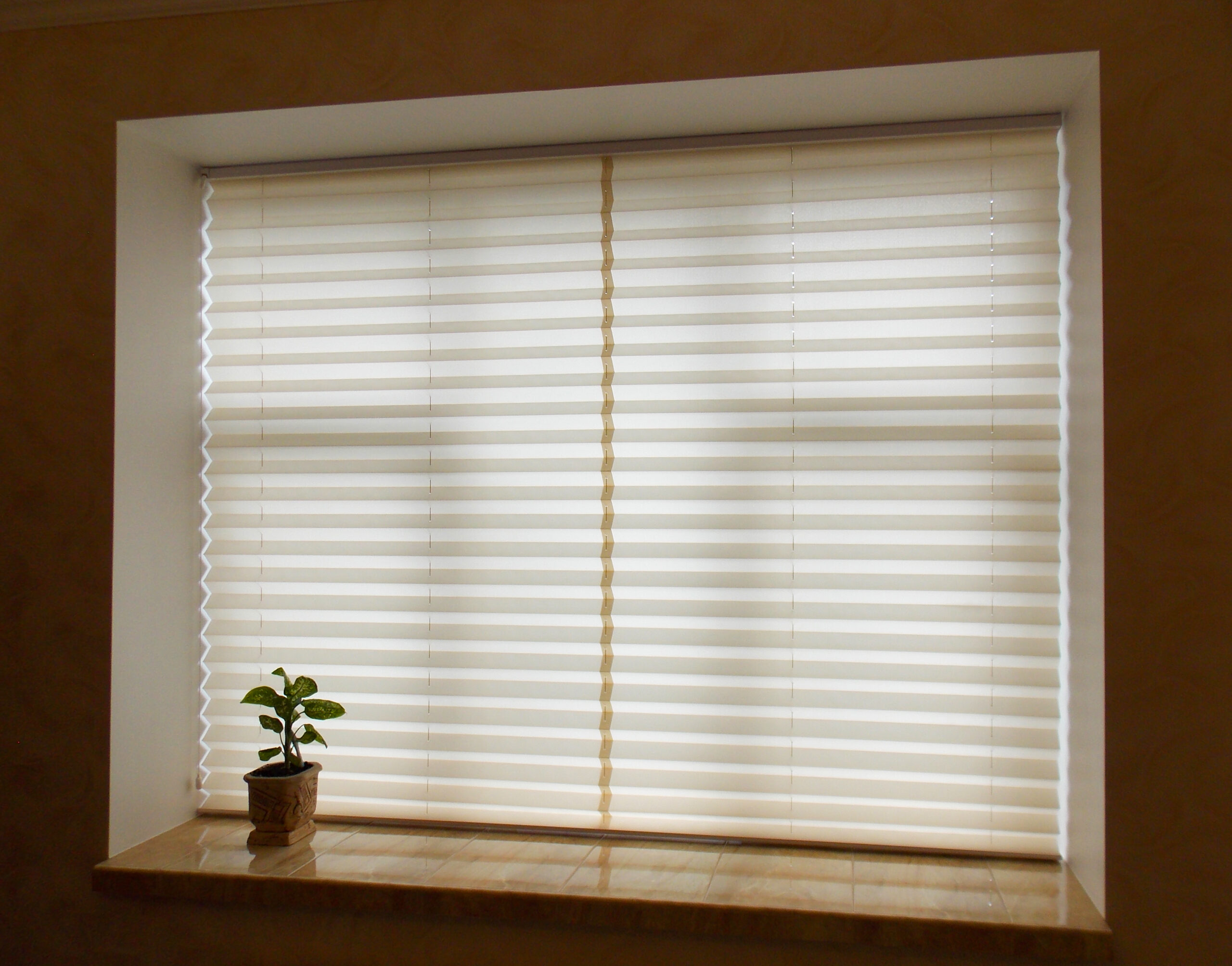 Pleated,Blinds,Xl,,Beige,Color,,With,50mm,Fold,Closeup,In